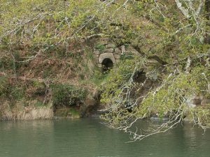 fontaine2-20